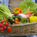 Eine Person trägt einen Korb mit Gemüse und Salat darin. Basenfasten in Rodgau